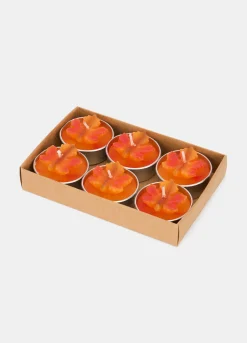 6 pack candeline foglia d'acero