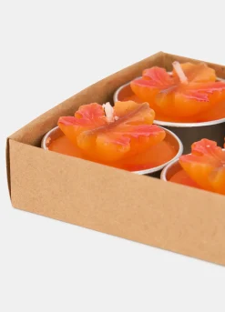 6 pack candeline foglia d'acero