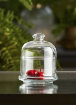 Contenitore in vetro con cupola