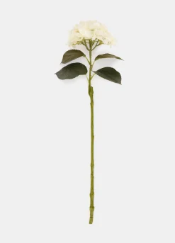 Ortensia finta su ramo