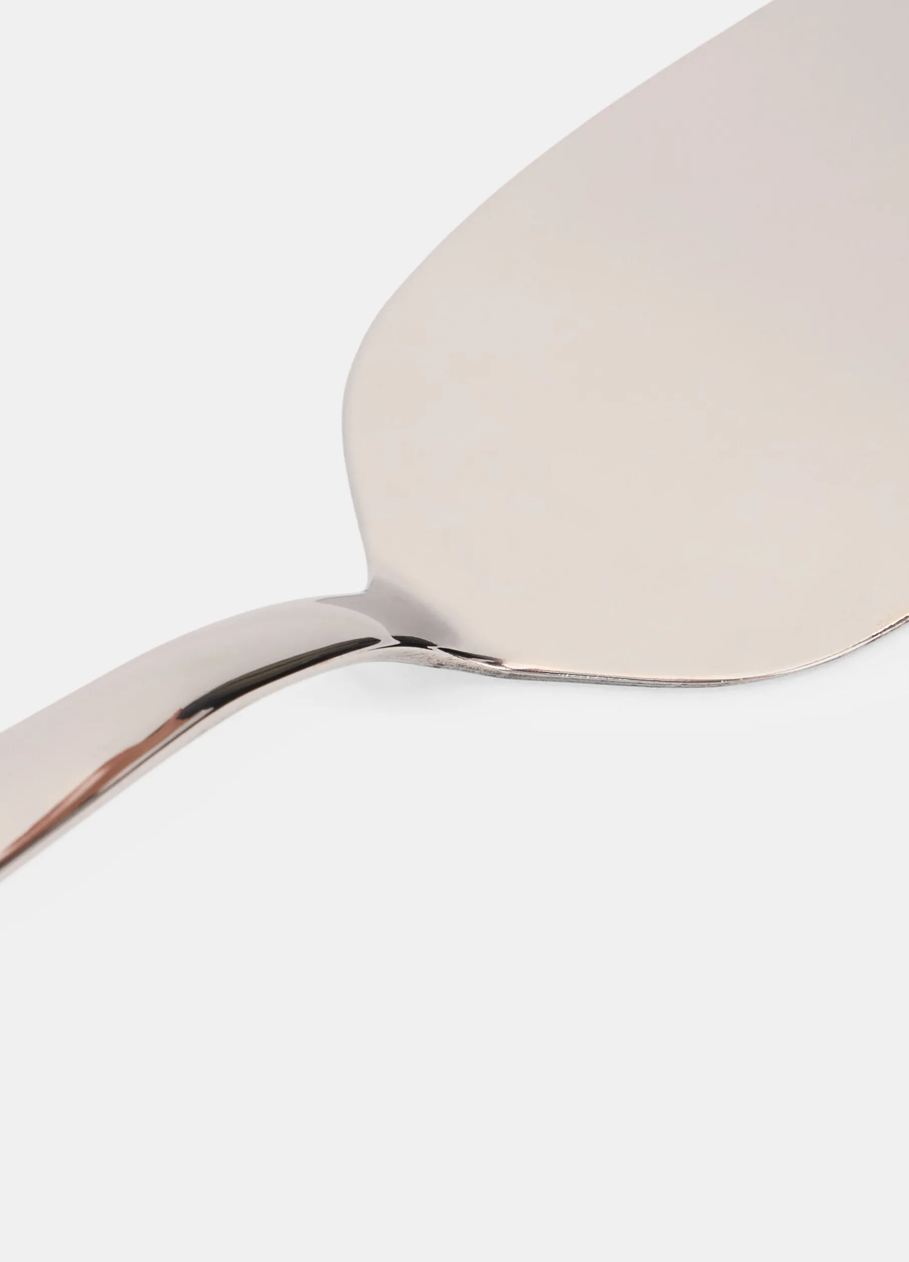 Paletta per torta in acciaio