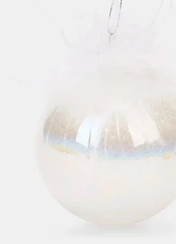 Pallina in vetro con piume