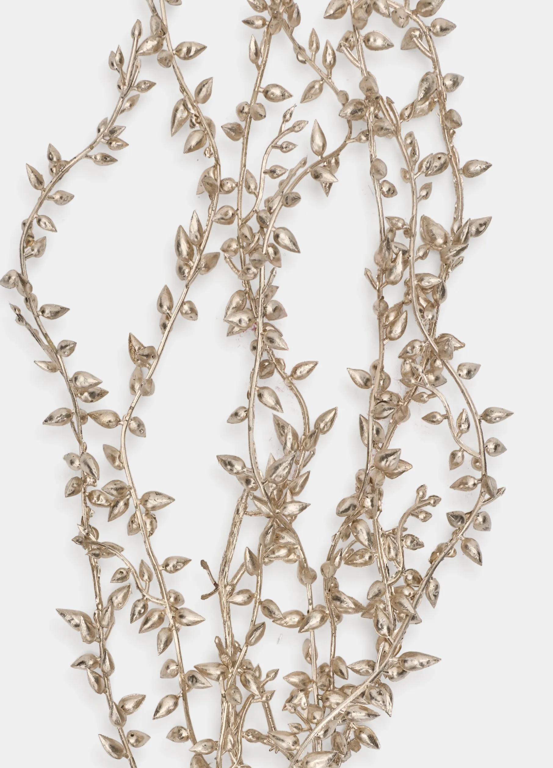 Ramo argentato con foglie