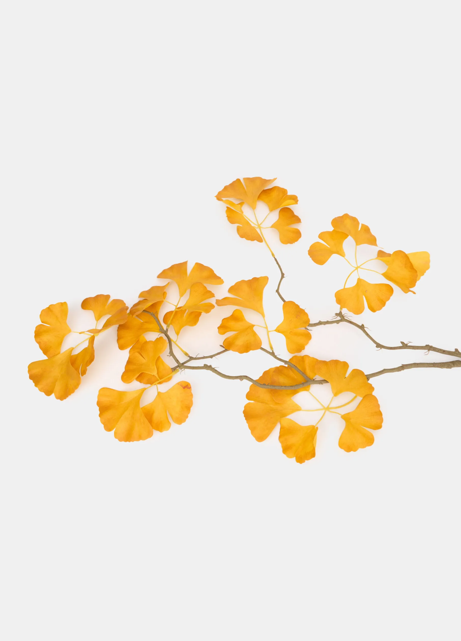 Ramo di ginkgo finto