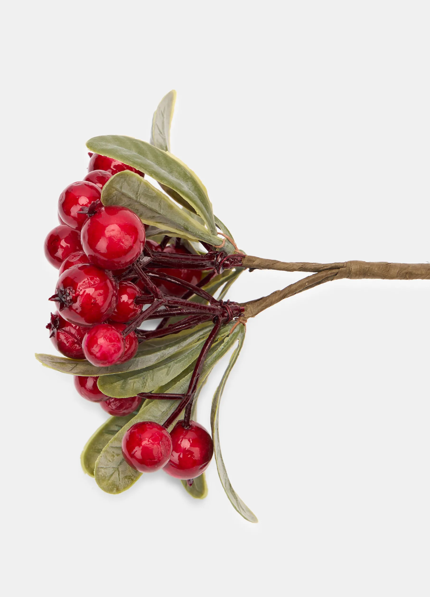 Ramo di vischio decorativo