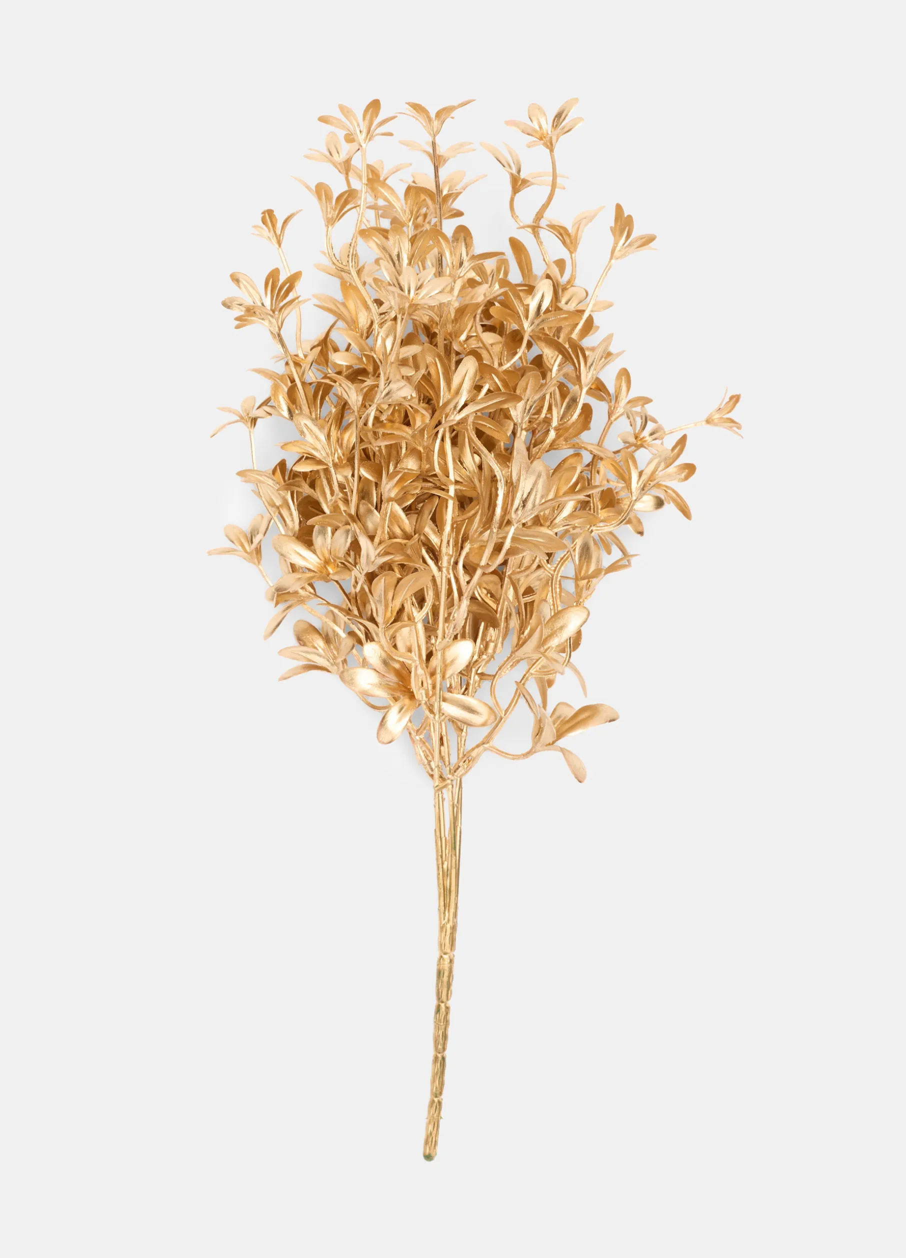 Ramo dorato con foglie