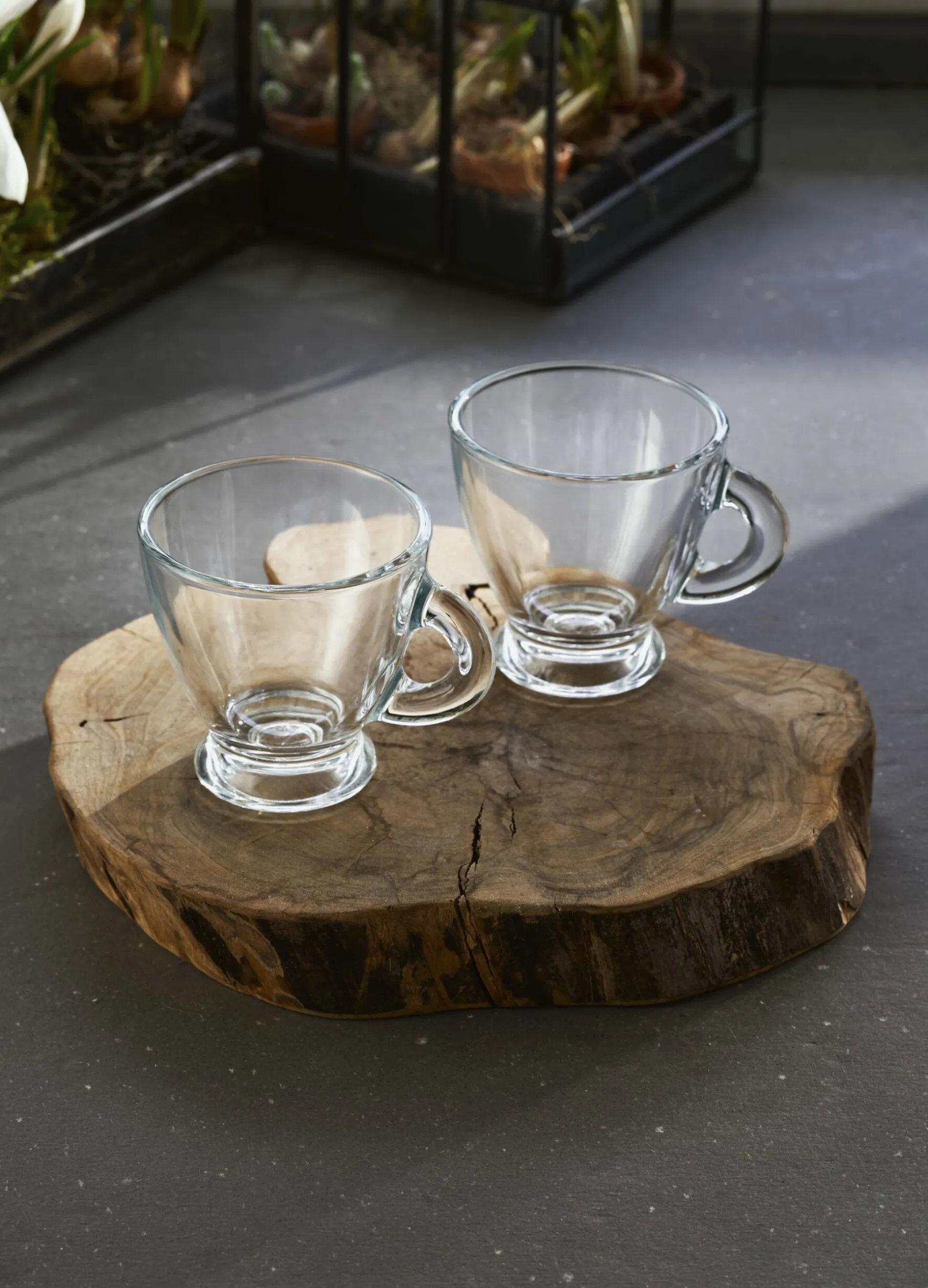 Tazzina da caffè in vetro