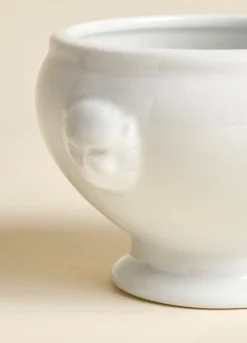 Zuppiera con testa di leone